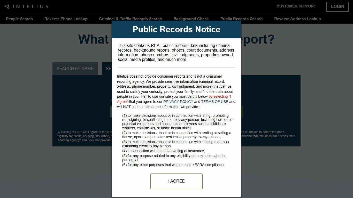 Intelius Email Reports: What You Can Find